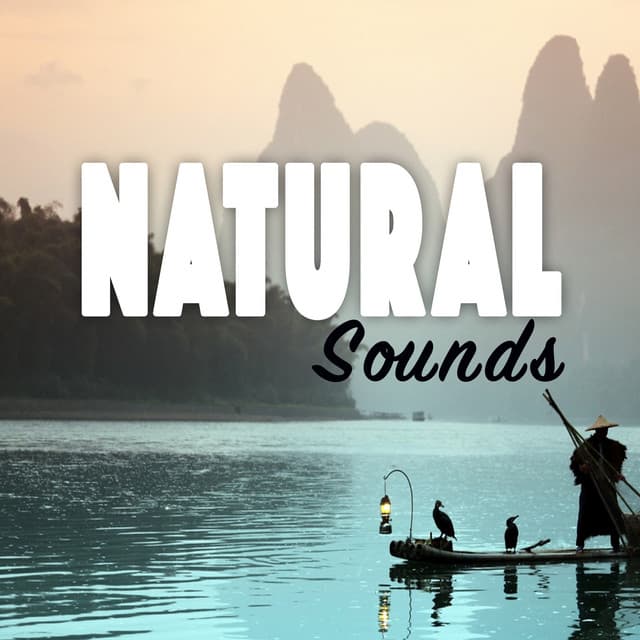 Natural Sounds - Sounds of Nature for Deep Sleep and Relaxation