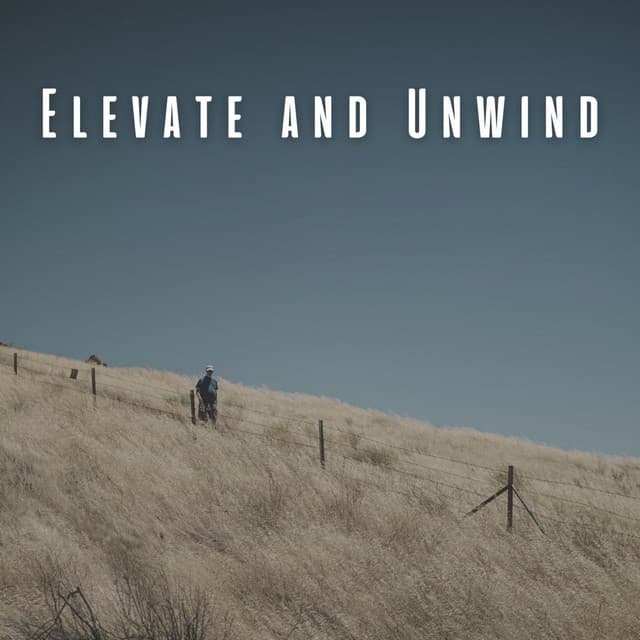 Elevate and Unwind: Ambient Music for Ultimate Relaxation - Elevator Music