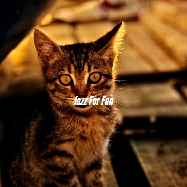 Jazz For Fun - The Elevator Music Jazz Trio