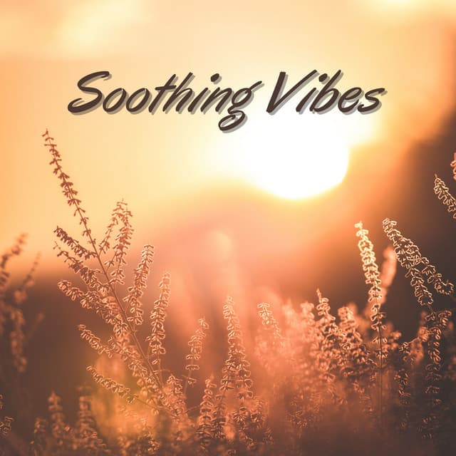 Soothing Vibes: Tranquil Beats for Ultimate Relaxation and Mindful Serenity - Sauna Relax Music Rec