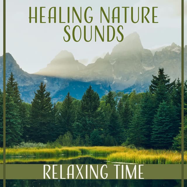 Healing Nature Sounds: Relaxing Time for Mindfulness Meditation, Serenity Music, Ocean Waves, Birds - Zen Natural Sounds