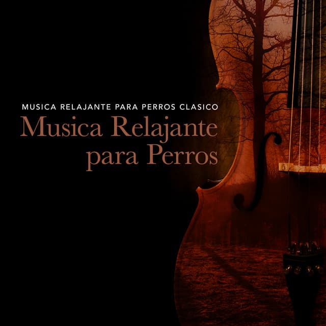 Musica Relajante para Perros - Musica Relajante para Perros Clasico