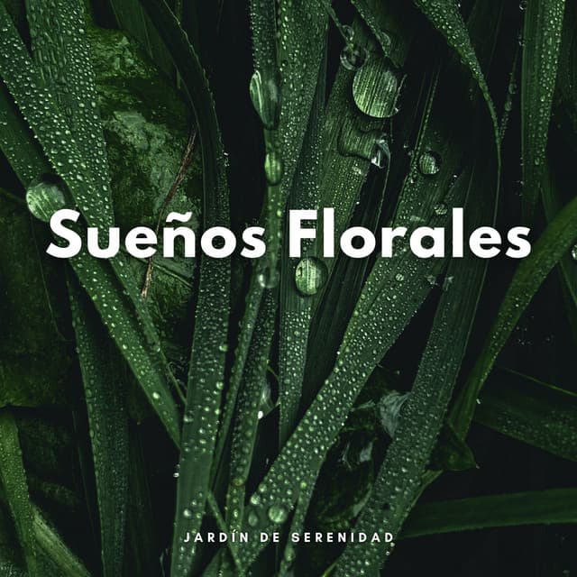 Sueños Florales: Jardín De Serenidad - Jardín del tiempo