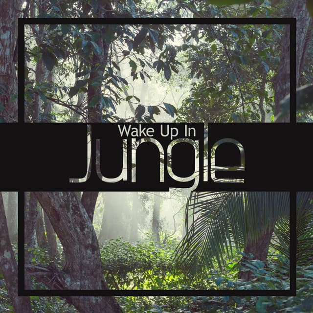 Wake Up In Jungle: Exotic Sounds for Relaxation - Nature Sounds Universe