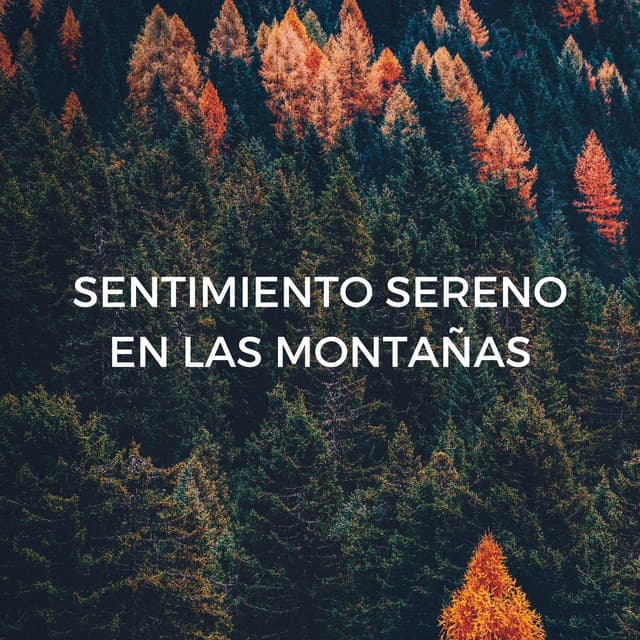 Sentimiento Sereno En Las Montañas - Llamada de la naturaleza
