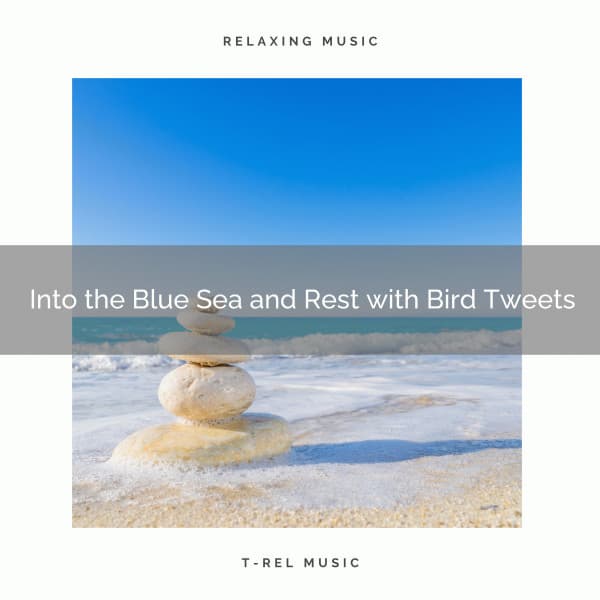 2020 Best: Into the Blue Sea and Rest with Bird Tweets - Seashore Waves
