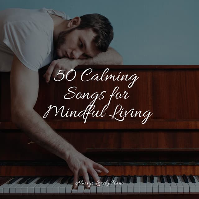 50 Calm Piano Pieces to Relax to - Background Piano Music.