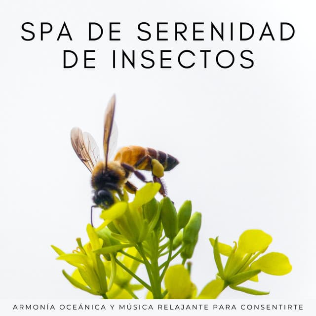 Spa De Serenidad De Insectos: Armonía Oceánica Y Música Relajante Para Consentirte - Sonidos del océano profundo