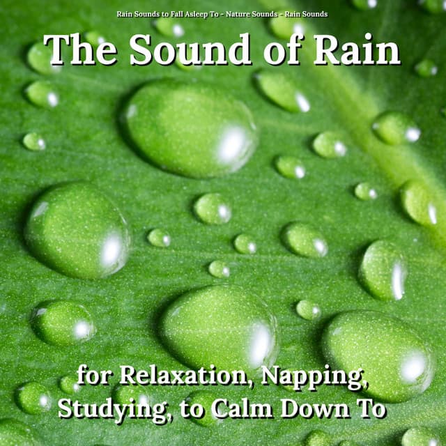 The Sound of Rain for Relaxation, Napping, Studying, to Calm Down To - Rain Sounds to Fall Asleep To