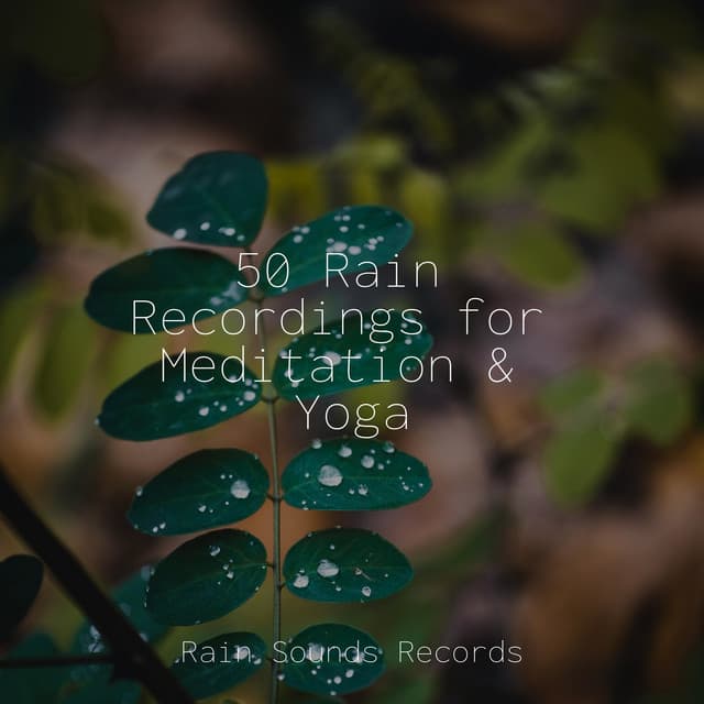 50 Rain Recordings for Meditation & Yoga - Brain Study Music Guys