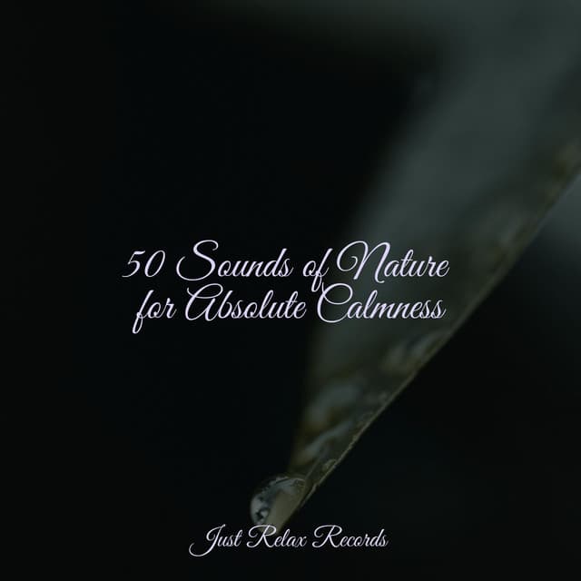 50 Sounds of Nature for Absolute Calmness - Calm Music for Studying
