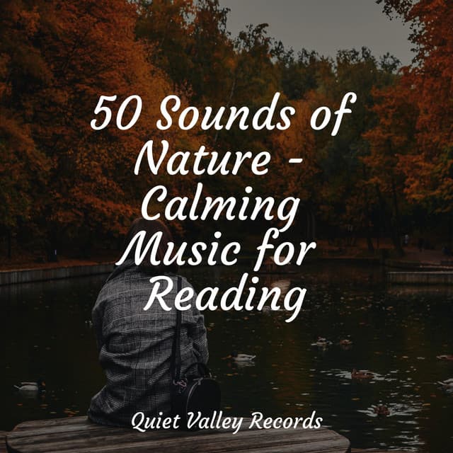 50 Sounds of Nature - Calming Music for Reading - Namaste Healing Yoga