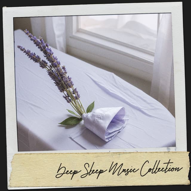 Spa Sleep Music: Moonlit Lullabies - Solfeggio Frequencies 528Hz