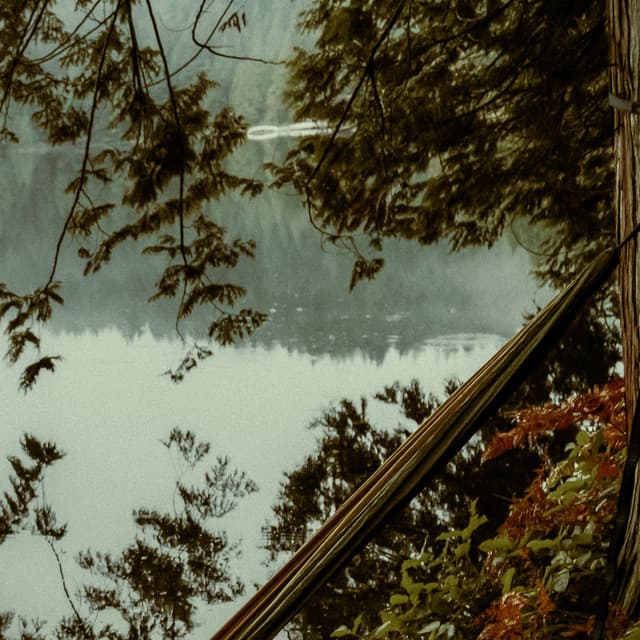 100 Waves: Natural Echoes - Baltic Nature Sounds