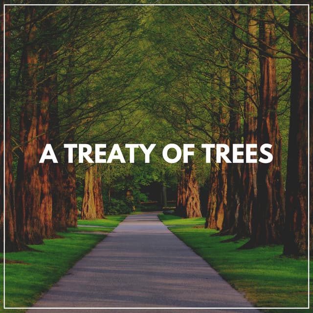 A Treaty of Trees - Worldwide Nature Studios