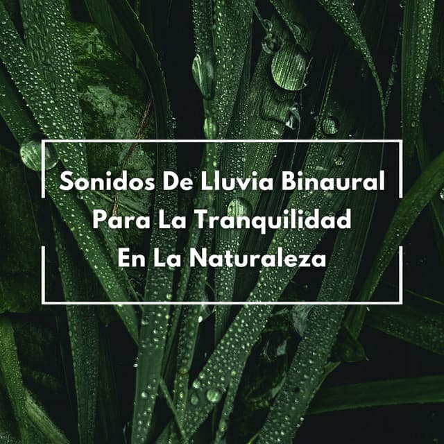 Sonidos De Lluvia Binaural Para La Tranquilidad En La Naturaleza - La fábrica de ritmos binaurales