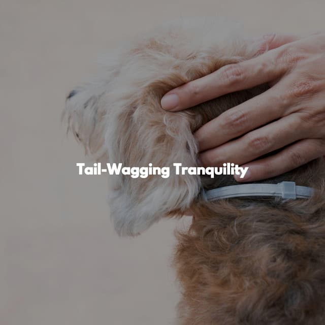 Tail-Wagging Tranquility - Instrumental Chill Out Jazz