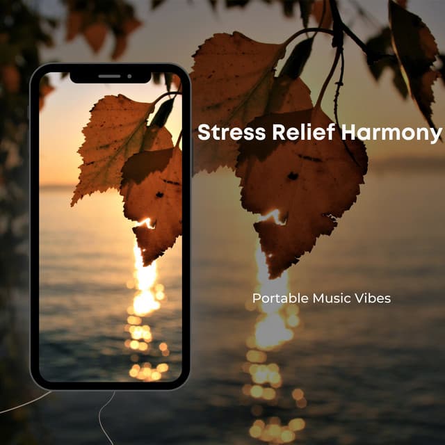 Stress Relief Harmony - Portable Music Vibes