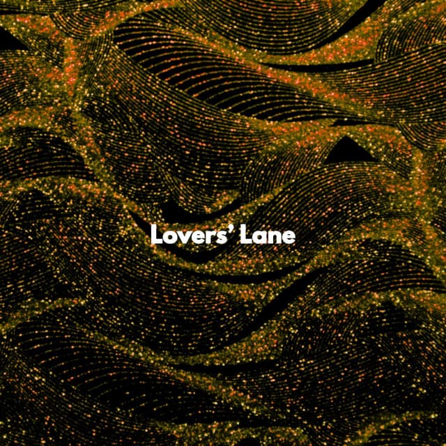 Lovers’ Lane - Coffee House Smooth Jazz Playlist