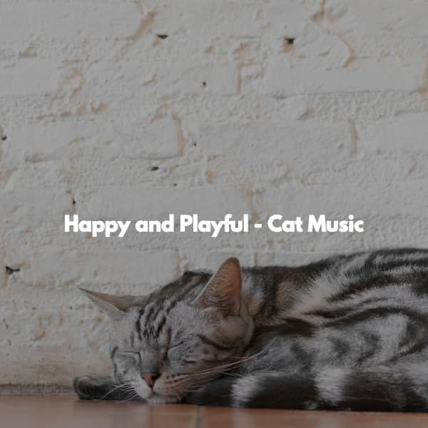 Happy and Playful - Cat Music - #Relaxing Radio