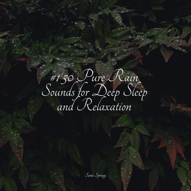 50 Best Winter Rain Tracks - Kundalini Yoga