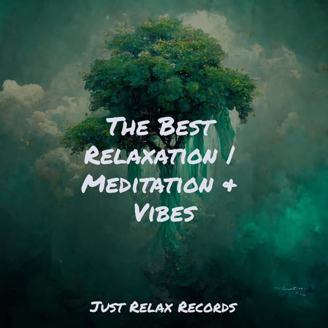 The Best Relaxation | Meditation & Vibes - Deep Sleep Meditation