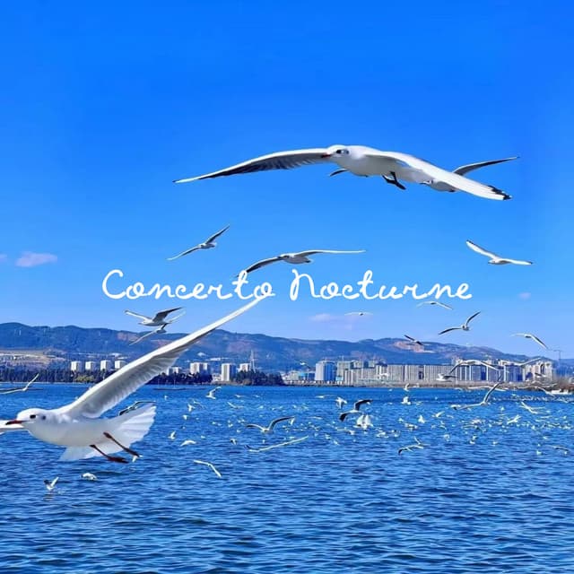 Concerto Nocturne - Relaxing Piano Music