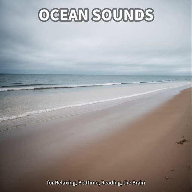 #1 Ocean Sounds for Relaxing, Bedtime, Reading, the Brain - Beach Sounds