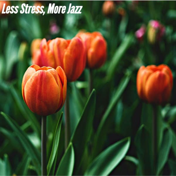 Less Stress, More Jazz - Cafe de Musica Instrumental