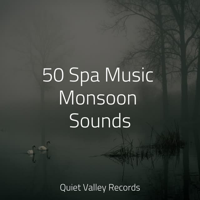 50 Spa Music Monsoon Sounds - Rain Sound Studio