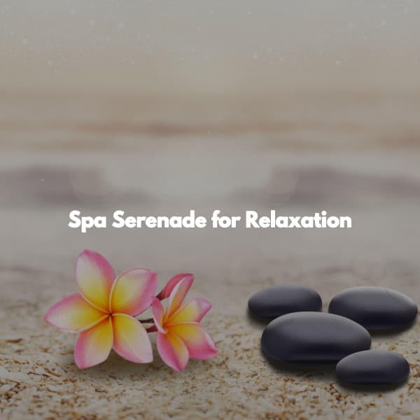 Spa Serenade for Relaxation - Tranquil Cove