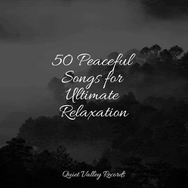 50 Peaceful Songs for Ultimate Relaxation - Sleep Music System