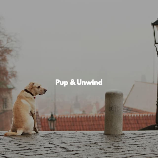 Pup & Unwind - Jazz Elegante para Hoteles