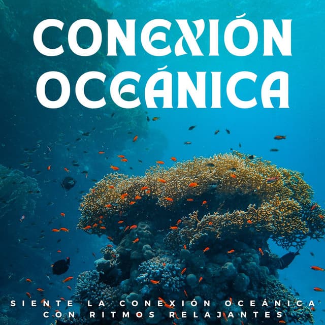 Siente La Conexión Oceánica Con Ritmos Relajantes - Misterios del océano