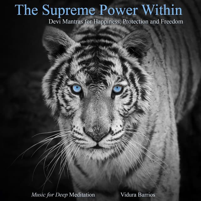 The Supreme Power Within - Devi Mantras for Happiness, Protection and Freedom - Vidura Barrios