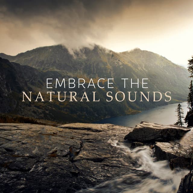 Embrace the Natural Sounds: Body and Mind Relaxation, Deep Breathing, Boost a Positive Mind Set - Natural Healing Music Zone