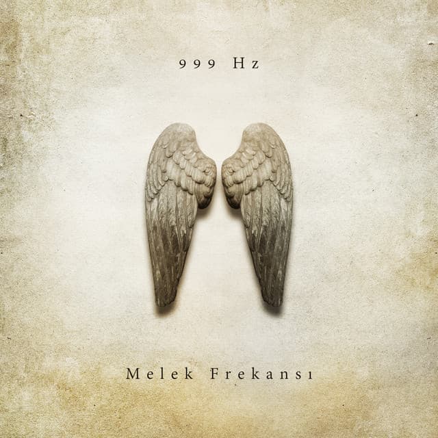 999 Hz Melek Frekansı - Sueño Meditación