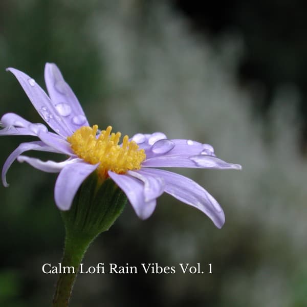 Calm Lofi Rain Vibes Vol. 1 - Rain Palace