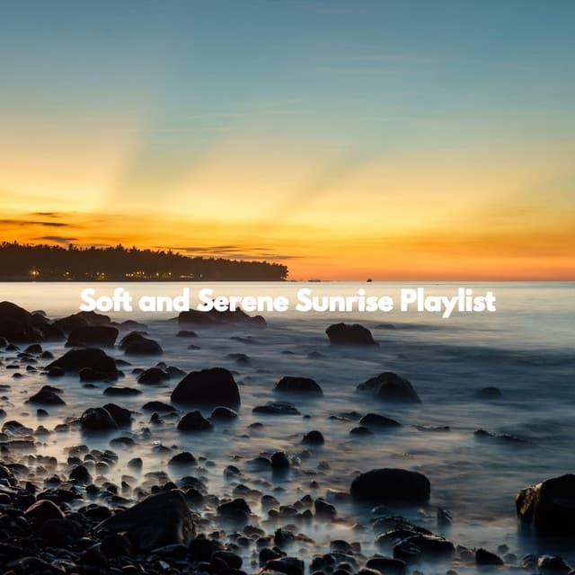 Soft and Serene Sunrise Playlist - Jazz Rilassante Ritmi