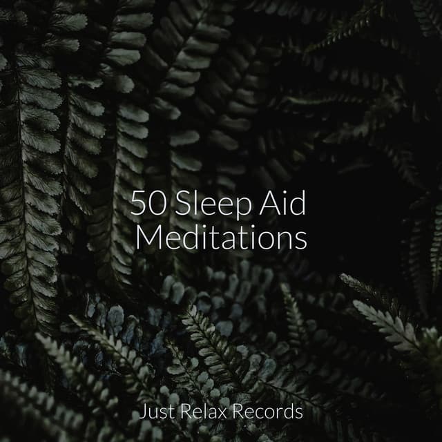 50 Sleep Aid Meditations - Guided Meditation