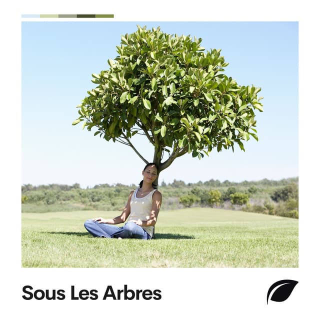 Sous Les Arbres - Nature Sounds - Sons de la nature