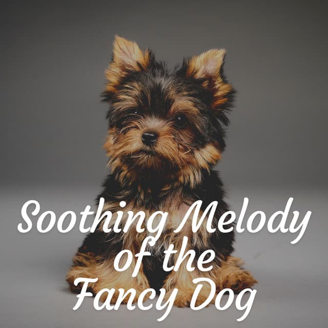 Soothing Melody of the Fancy Dog - Music for Sleeping Puppies