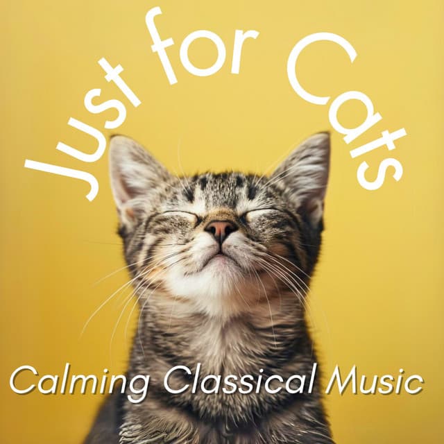 Just for Cats - Calming Classical Music - Relax My Cat