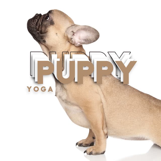 Puppy Yoga - Calm Pets Music Academy