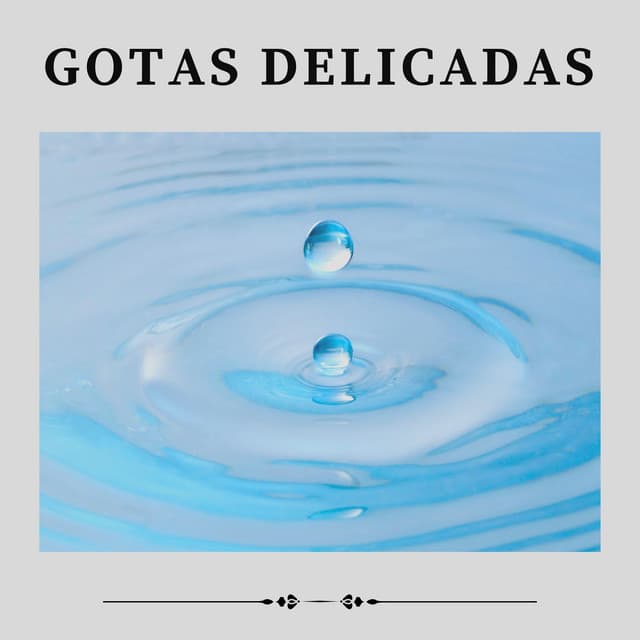 Gotas Delicadas - Sons da natureza HD