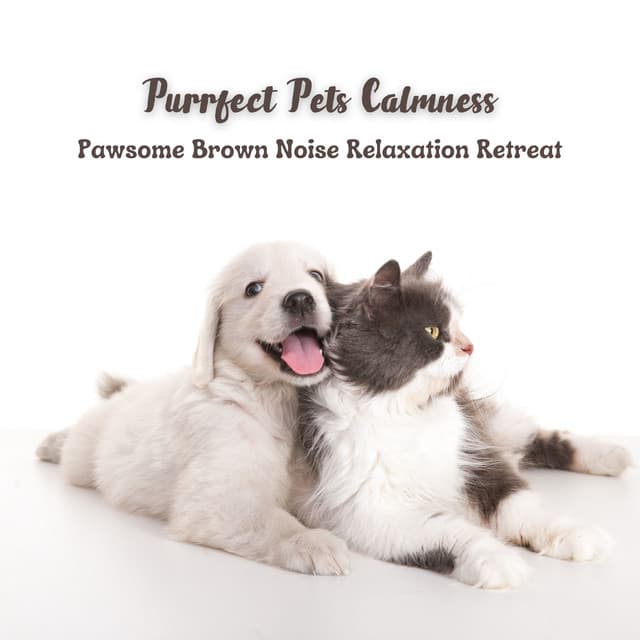 Purrfect Pets Calmness: Pawsome Brown Noise Relaxation Retreat - No Fade Noise