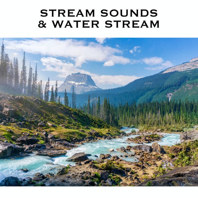 Stream Sounds