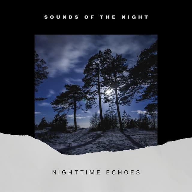 Nighttime Echoes: Evening Ambiance - Sounds of the Night