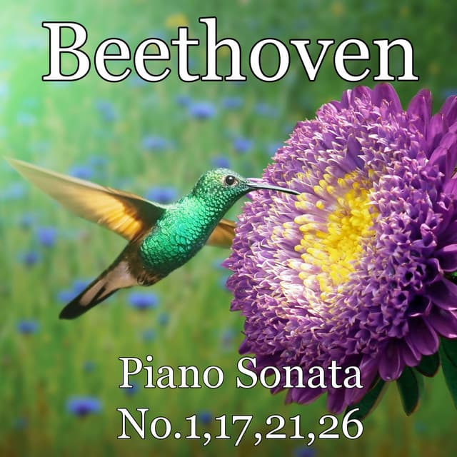Piano Sonata No.1,17,21,26 - Pianozone
