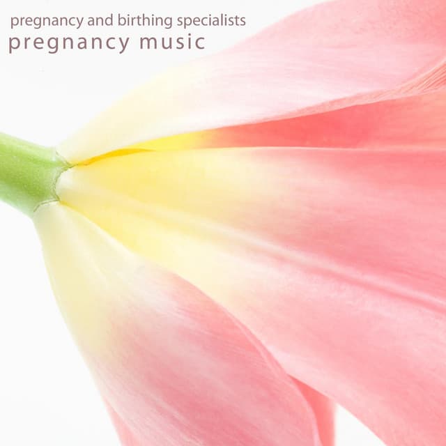 Pregnancy Music - Pregnancy and Birthing Specialists